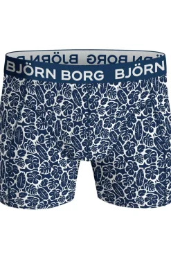 Bjorn borg