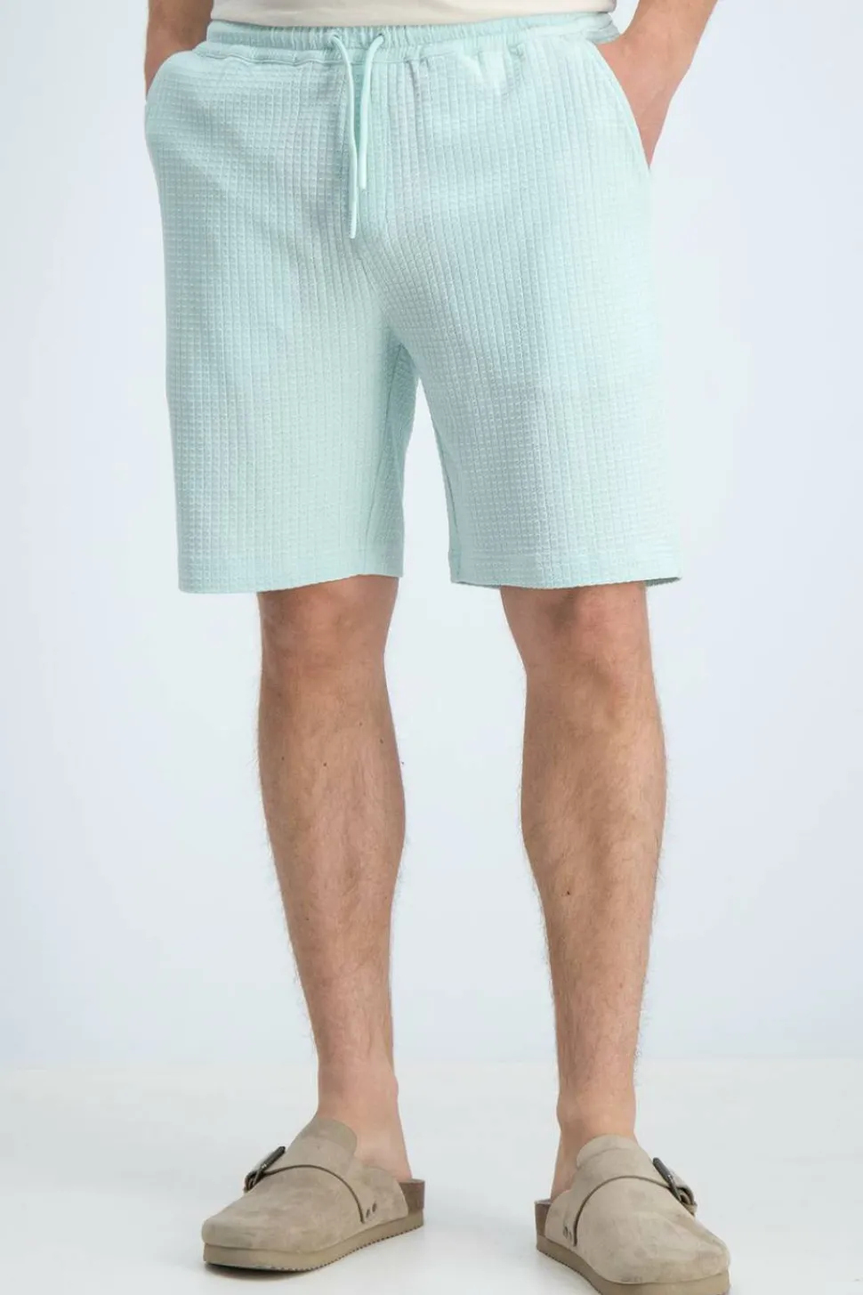 Gabbiano