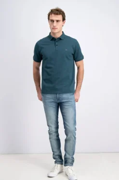 Gabbiano