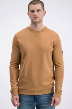 Gabbiano