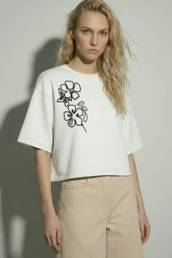 Hypedrop