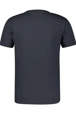 Lerros