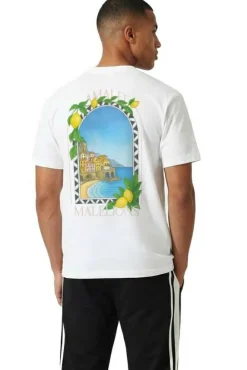 Malelions