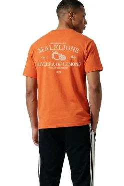 Malelions